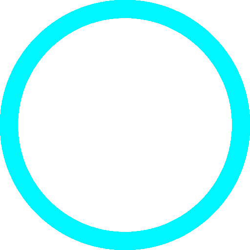 Cita